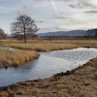 1712_Hiller_Moor_0008
