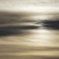 1712_Hiller_Moor_0009