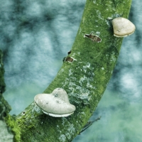 1712_Hiller_Moor_0022