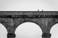 NH_250518_06577FHD