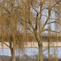 Petershagen 15
