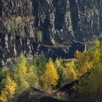 1610_Todenmann_040