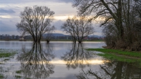 Hochwasser Dezember 2023