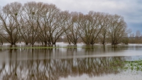 Hochwasser Dezember 2023