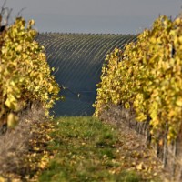 DSC_4795-b