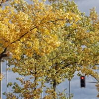 Löhne 11.11.2018