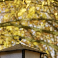 Schützenhaus Löhne 11.11.2018